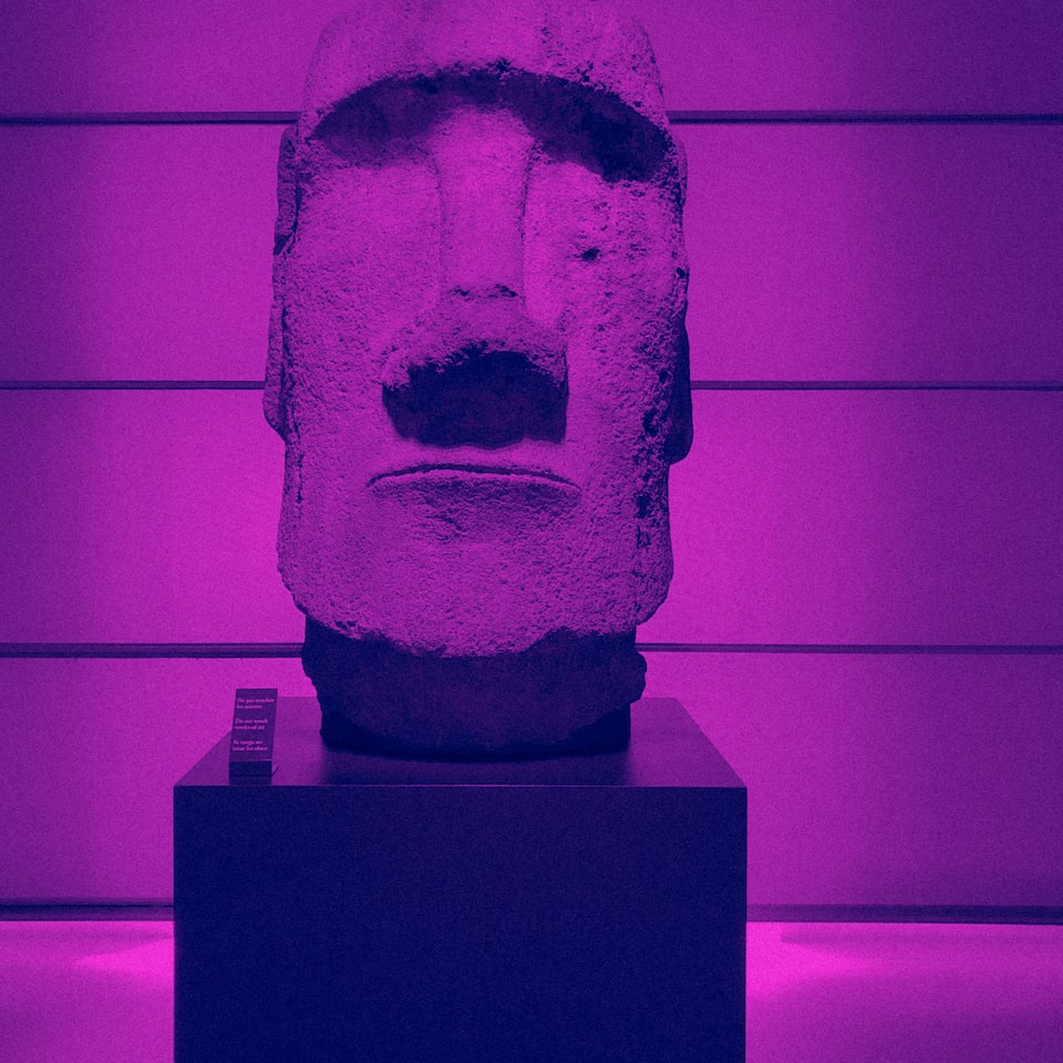 Natural Dress Purple