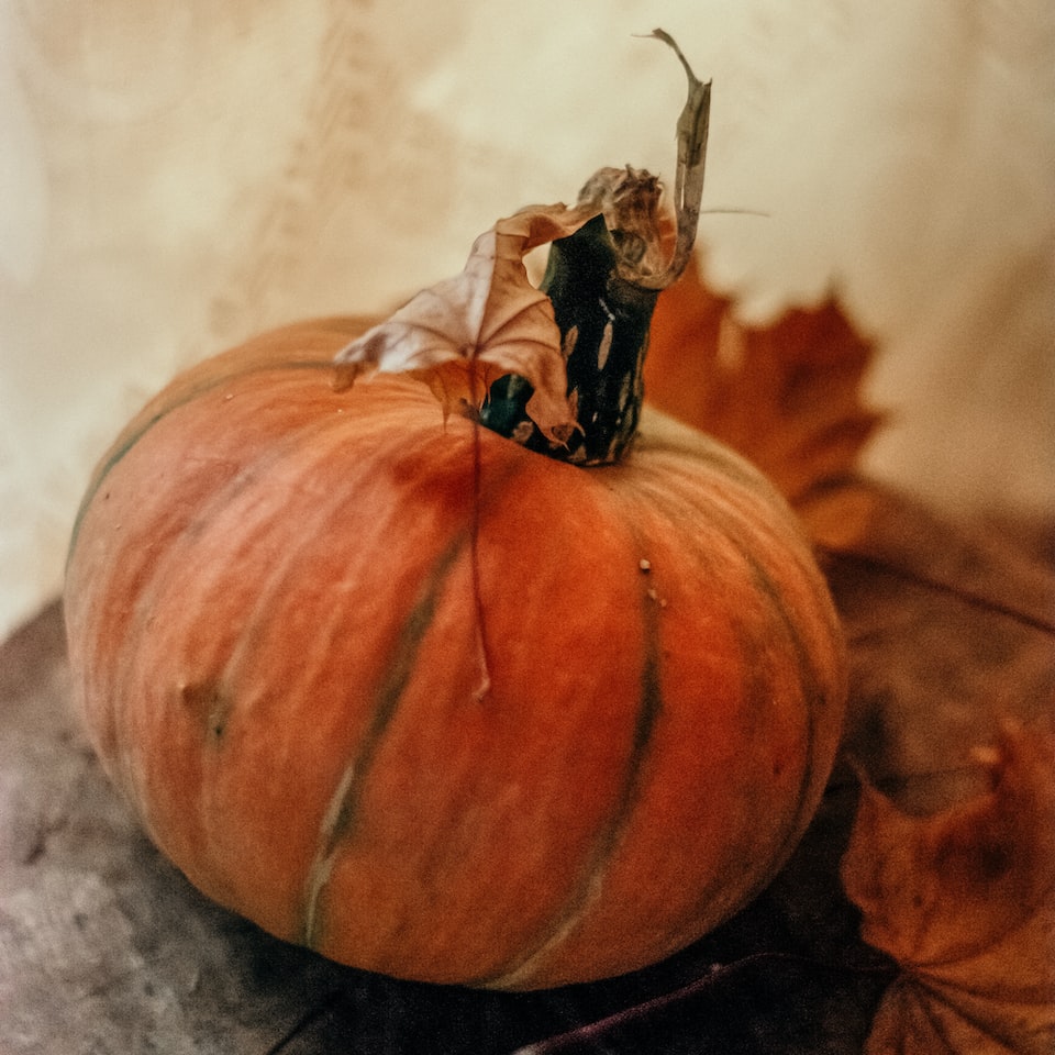 Smoothie Blender Pumpkin