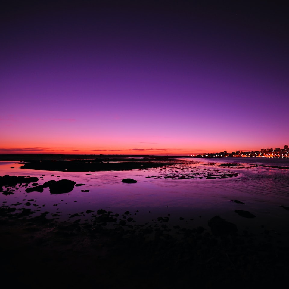 Violet Potato Refrigerator